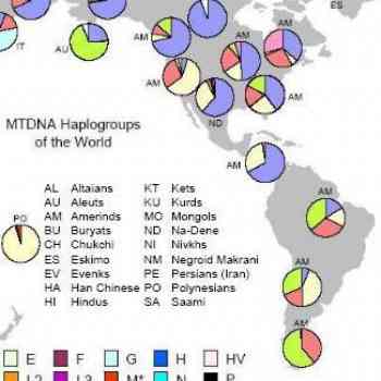 1B Mapa Haplogrupos de ADN mitocondrial nivel mund